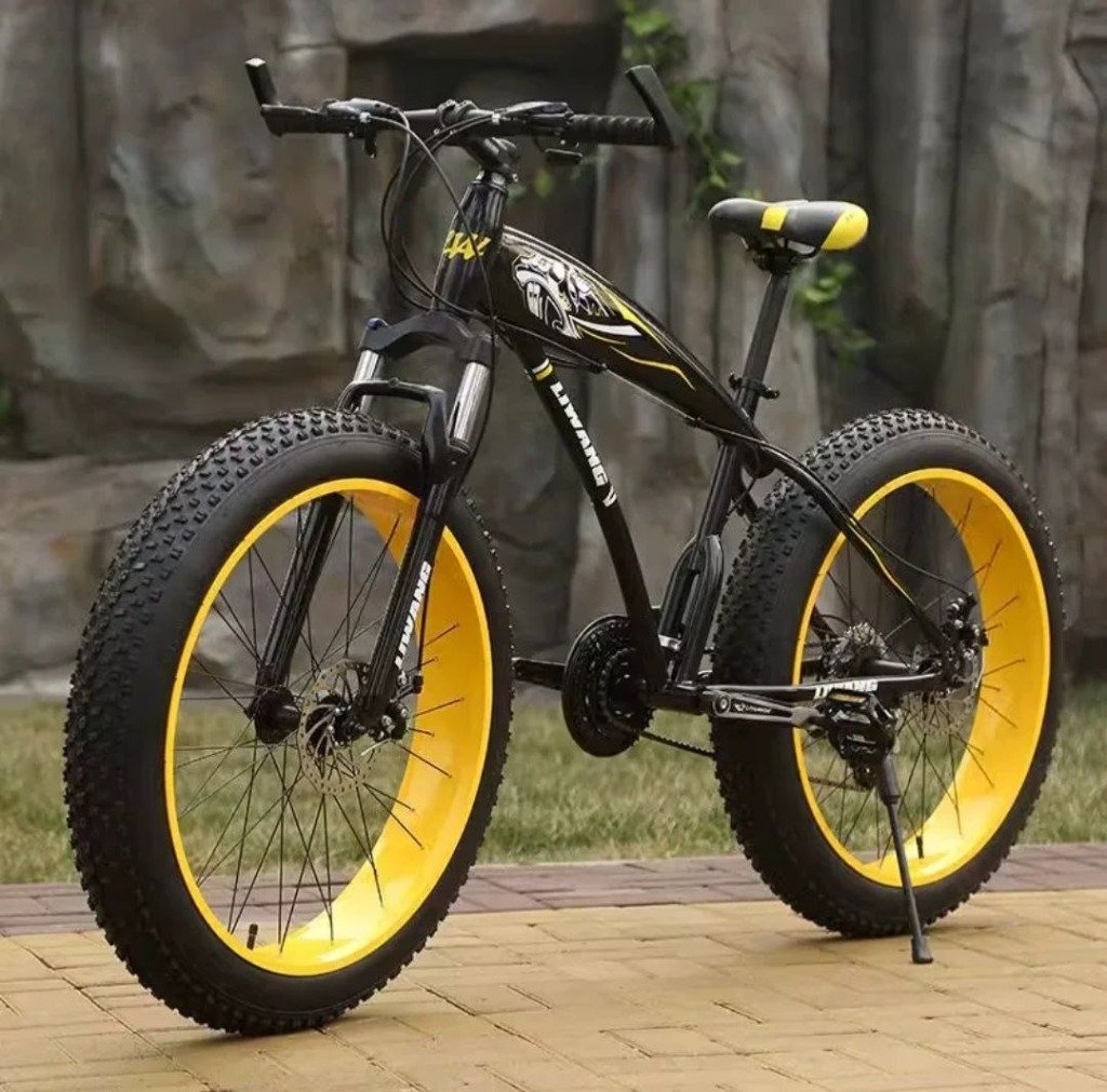 Liwang 4.0 Fat Tire Cruiser